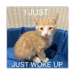 😴 emoji Video Fav Stickers @theonly_reason Telegram sticker 9 of 50