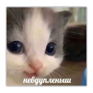 😭 emoji Video Fav Stickers @theonly_reason Telegram sticker 7 of 50