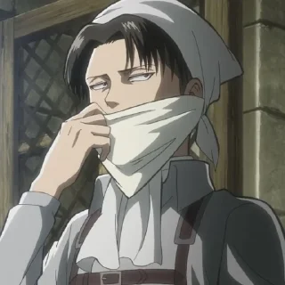 📸 emoji Levi Ackerman Telegram sticker 20 of 24