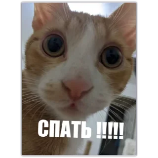 💬 emoji Video Fav Stickers @theonly_reason Telegram sticker 8 of 50