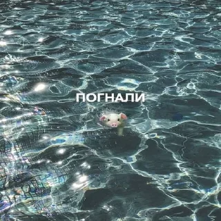 🐽 emoji та, а купі баумті Telegram sticker 6 of 120