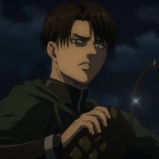 📸 emoji Levi Ackerman Telegram sticker 21 of 24