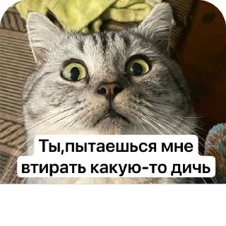 🫥 emoji Хуита Telegram sticker 24 of 39