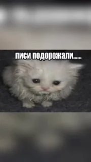 🌟 emoji Смешнявки Telegram sticker 15 of 120