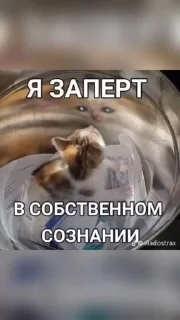 🌟 emoji Смешнявки Telegram sticker 10 of 120