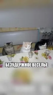 🌟 emoji Смешнявки Telegram sticker 11 of 120
