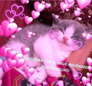 ❤️ emoji ~_Cat love_~ Telegram sticker 18 of 41