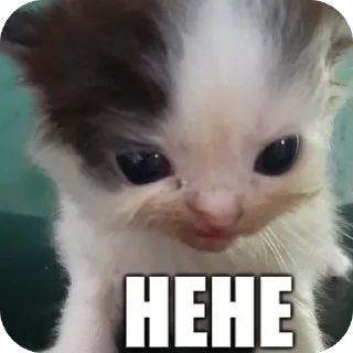 🥰 emoji мяяя Telegram sticker 11 of 88