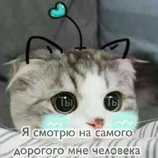 ❤️ emoji ~_Cat love_~ Telegram sticker 23 of 41