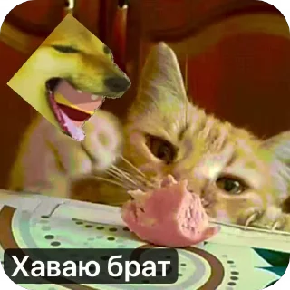 🌭 emoji Ебать некит наклепал херни Telegram sticker 20 of 107
