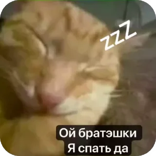 🛌 emoji Ебать некит наклепал херни Telegram sticker 21 of 107