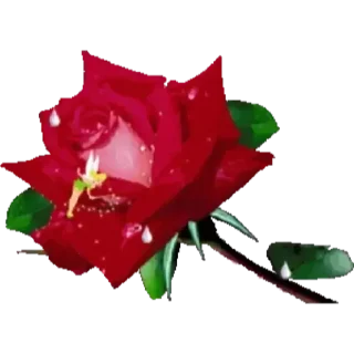 💟 emoji Цветы Telegram sticker 14 of 29