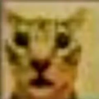 Sticker from silly cats