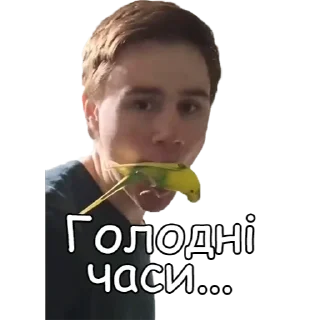 😐 emoji Рижий котик Telegram sticker 7 of 42