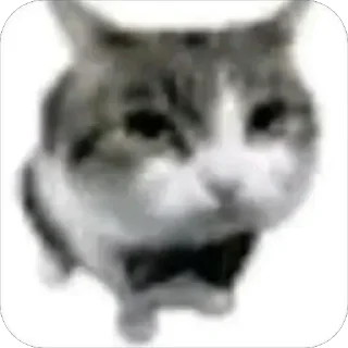 Sticker from шешес