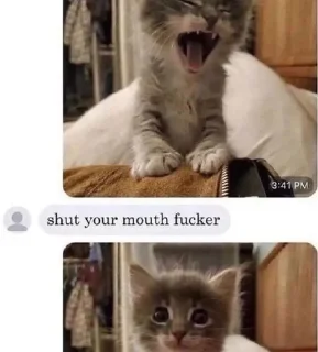 🙂 emoji Goofy Cats Telegram sticker 18 of 81