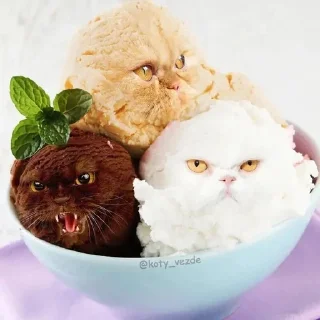 🍨 emoji коты в еде/cats in food Telegram sticker 5 of 60