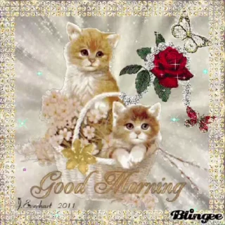 🌟 emoji открытки кошки @satori_666 Telegram sticker 18 of 96