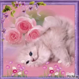 🌟 emoji открытки кошки @satori_666 Telegram sticker 11 of 96