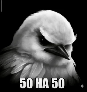 🌟 emoji птички от mystafa Telegram sticker 18 of 95
