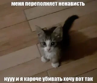 🌟 emoji КАТЫ И ЖАБЫЫ Telegram sticker 18 of 120
