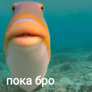 🖐️ emoji Настя Telegram sticker 13 of 20