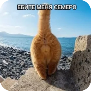 🪨 emoji Настя Ш-общительная Telegram sticker 18 of 52