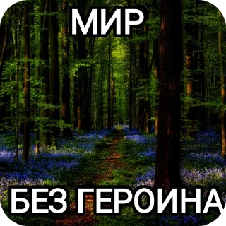 🌲 emoji Настя Ш-общительная Telegram sticker 20 of 52