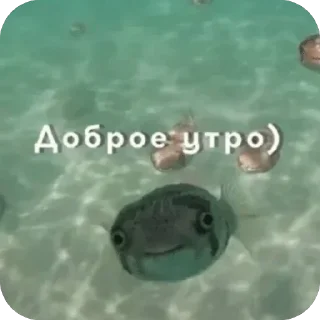 Sticker from Катя и Друзьяшки