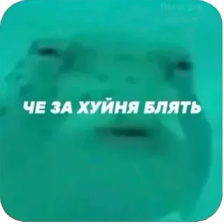 Sticker from Катя и Друзьяшки