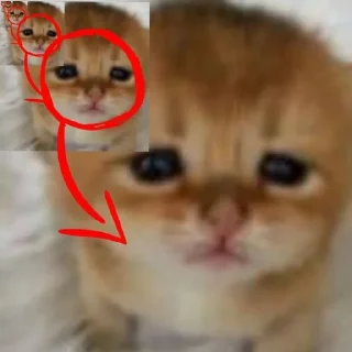 🌟 emoji сосиски Telegram sticker 8 of 114