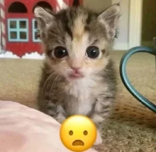 🌟 emoji сосиски Telegram sticker 13 of 114
