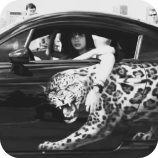 🚗 emoji @shyraq_djjj вайб рин, пиздить стикеры нельзя🖕🏽 Telegram sticker 10 of 87