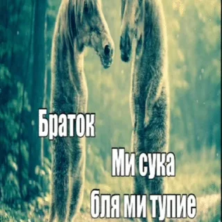 🌟 emoji канешна жопа Telegram sticker 21 of 120