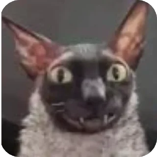 🫥 emoji Жижа уролог Telegram sticker 22 of 44