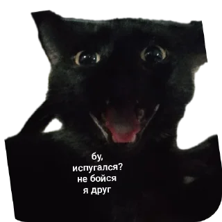 🐱 emoji буська вайб Telegram sticker 21 of 37
