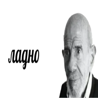 😐 emoji Хуйня какая-то Telegram sticker 21 of 117