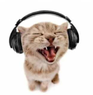 🩻 emoji кисечки Telegram sticker 20 of 24