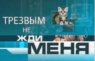 🐱 emoji ьбьб Telegram sticker 16 of 120