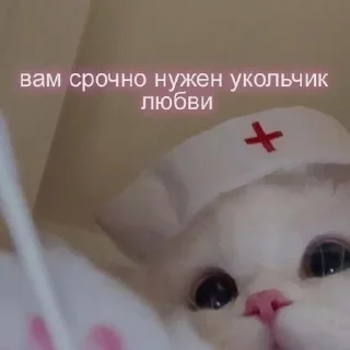 🫀 emoji кисечки Telegram sticker 13 of 24