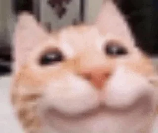 🥺 emoji noidinahui Telegram sticker 9 of 63
