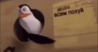 Sticker from созрел вопрос