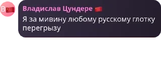 🧖 emoji Русосвинина VS Хохлы Telegram sticker 15 of 63