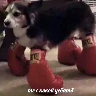👊 emoji будешь бегать с нами? Telegram sticker 8 of 78