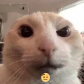 😑 emoji котеки Telegram sticker 13 of 61