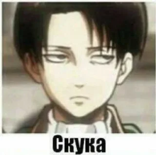 🌟 emoji levi Telegram sticker 20 of 60