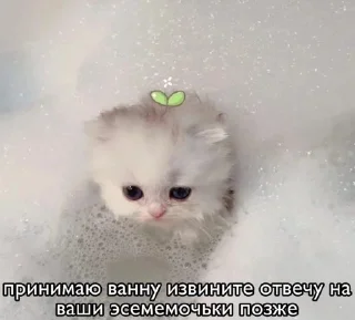🛀 emoji китис Telegram sticker 16 of 120