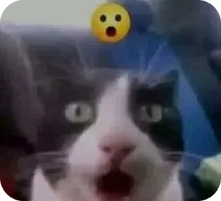 🌟 emoji meoquee is god2 Telegram sticker 11 of 50