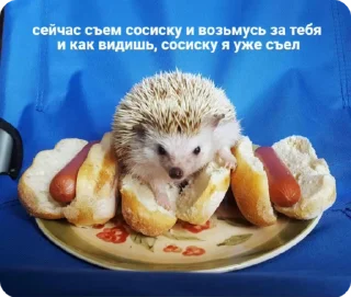 😊 emoji Doshik Telegram sticker 11 of 13
