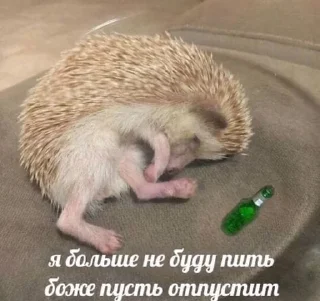 😵‍💫 emoji ёвжик Telegram sticker 10 of 103